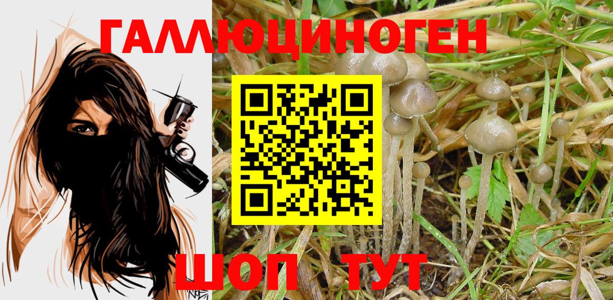 Сочи  Псилоцибиновые грибы ЛСД  Вход с VPN 